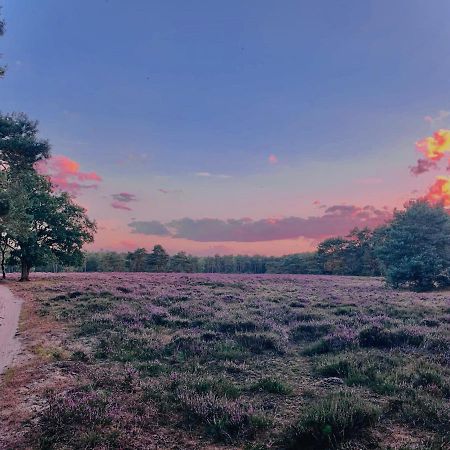 Sluwe Vos: Ontspannen In Het Bos! Otterlo Eksteriør bilde