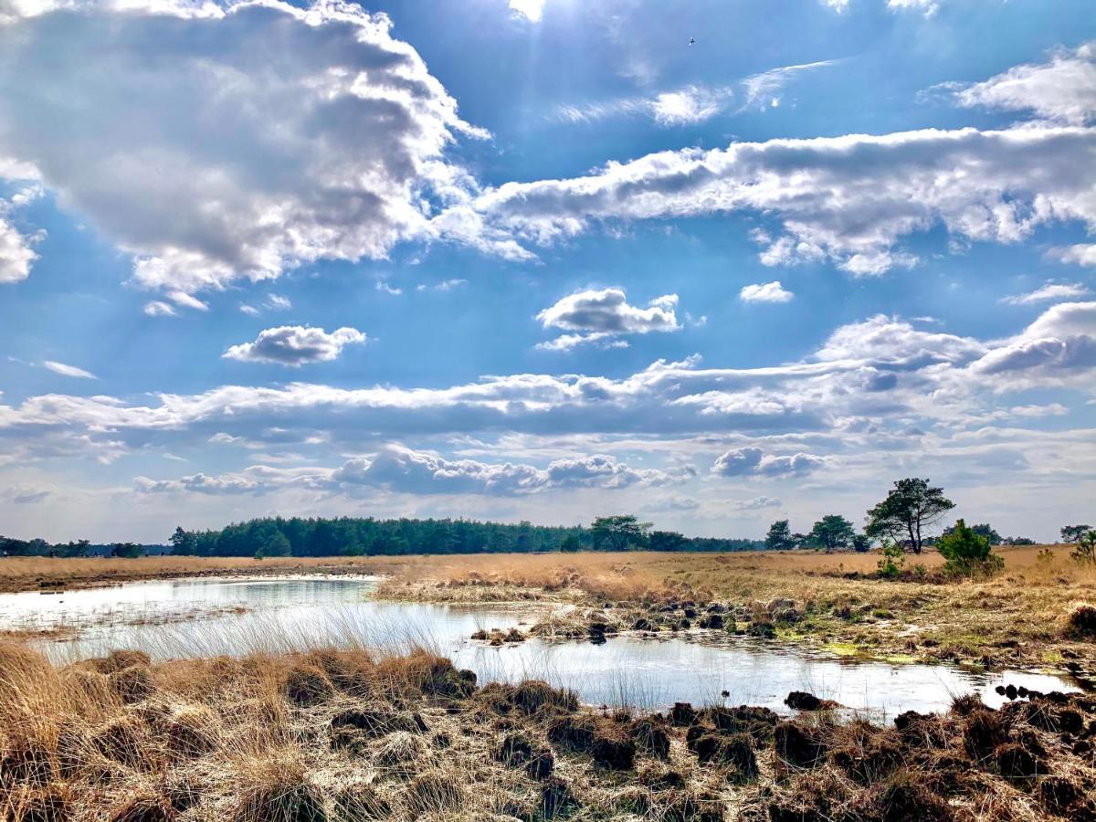 Sluwe Vos: Ontspannen In Het Bos! Otterlo Eksteriør bilde