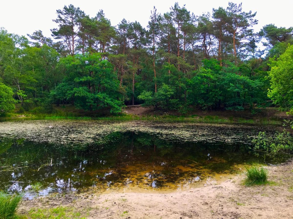 Sluwe Vos: Ontspannen In Het Bos! Otterlo Eksteriør bilde